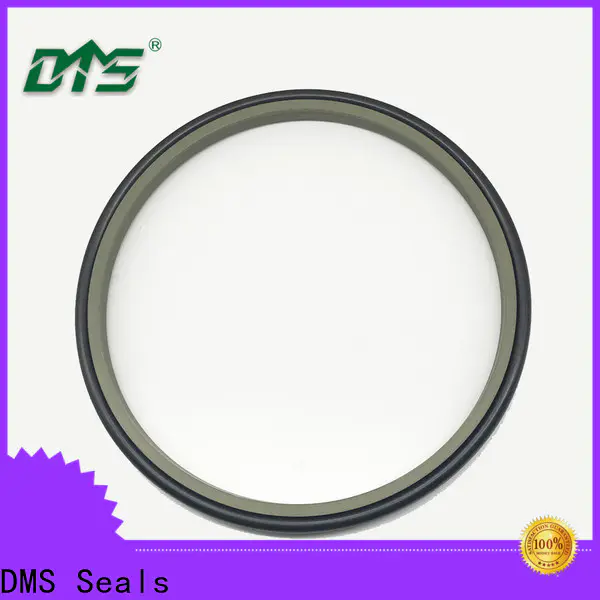 DMS Seals cylinder wiper seal vendor for hydraulic cylinder