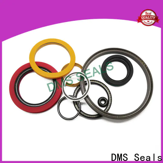 DMS Seals energized seal factory price for acidizing