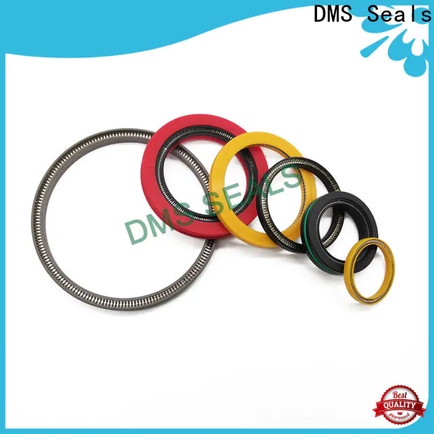 DMS Seals spring energized ptfe seal for acidizing