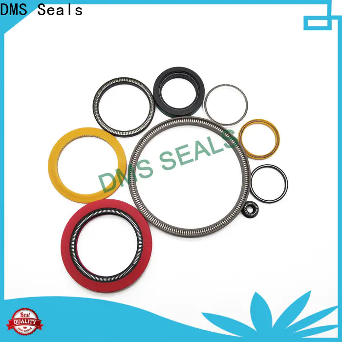 New energized seal wholesale for valves