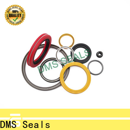 DMS Seals Best spring energised seal wholesale for acidizing