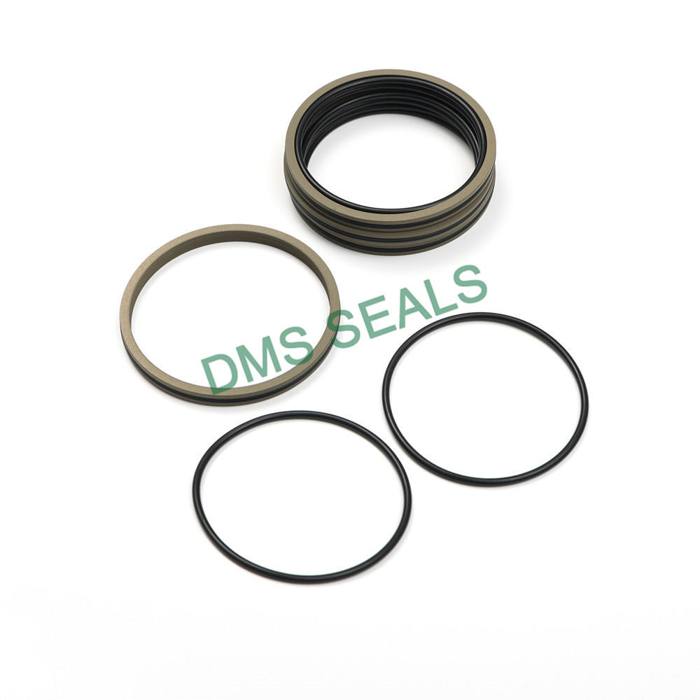 Pneumatic Two-Way C-Type Sealing Ring Cylinder Piston Double O Seal