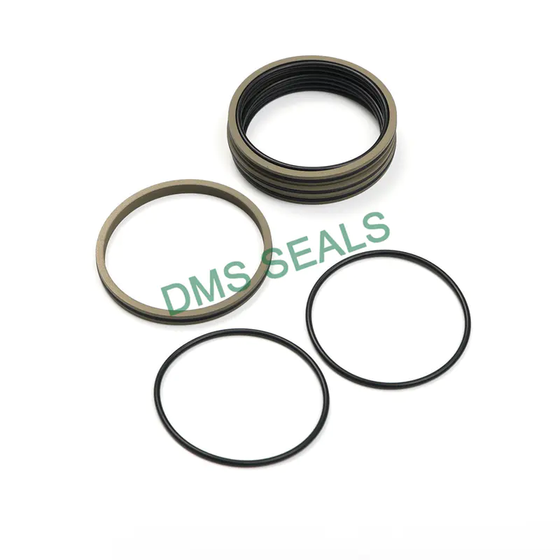 China Professional Piston Compressor Seal Daq2 Star Double O-Ring Accumulator Seal Factory