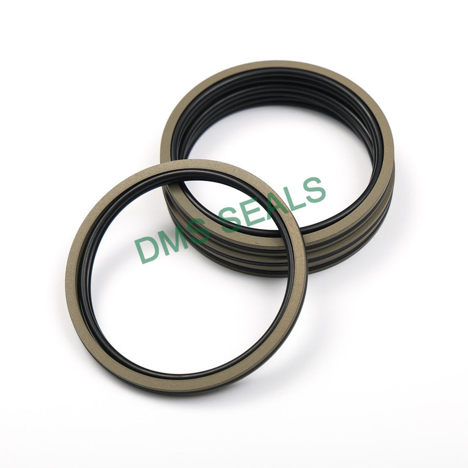 Daq2 Star Type Double O-Ring Combined Seal Aqf Piston Accumulator Seal