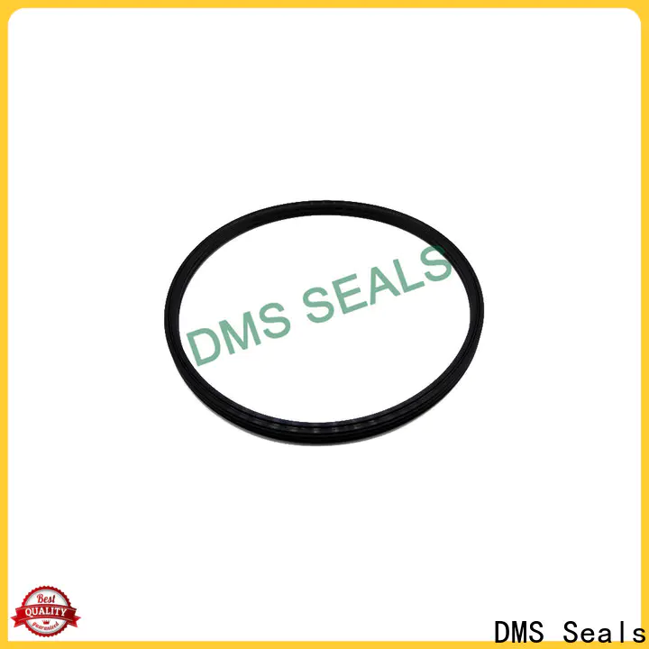 DMS Seals mechanical seal operation factory price for larger piston clearance
