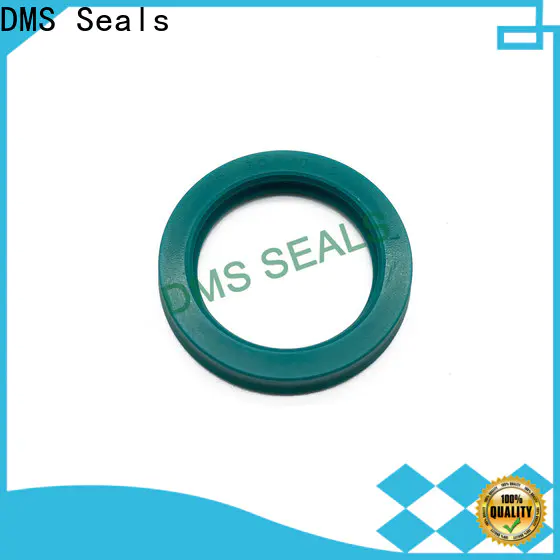 DMS Seals Best mechanical seal maintenance cost for piston and hydraulic cylinder