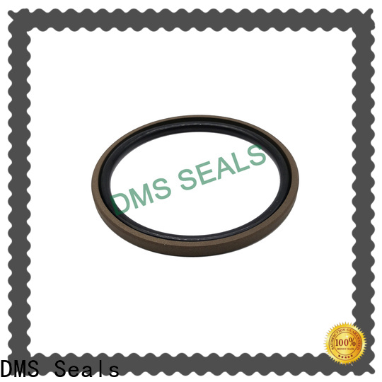 DMS Seals seals for air cylinders vendor for pressure work and sliding high speed occasions