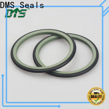 DMS Seals piston oil seal maker cost for construction machinery