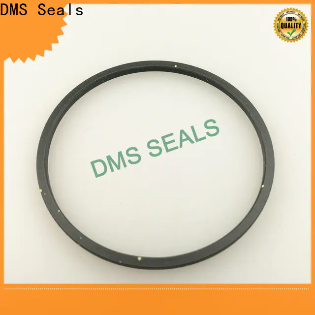 DMS Seals crane mechanical seals company for larger piston clearance