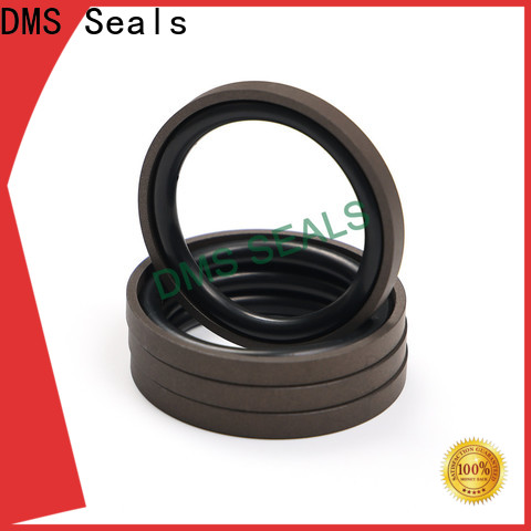 DMS Seals hydraulic rod wipers price for sale