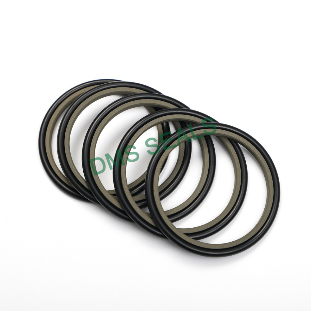 DMS Seals hydraulic rod seals online manufacturer for pressure work and sliding high speed occasions-2