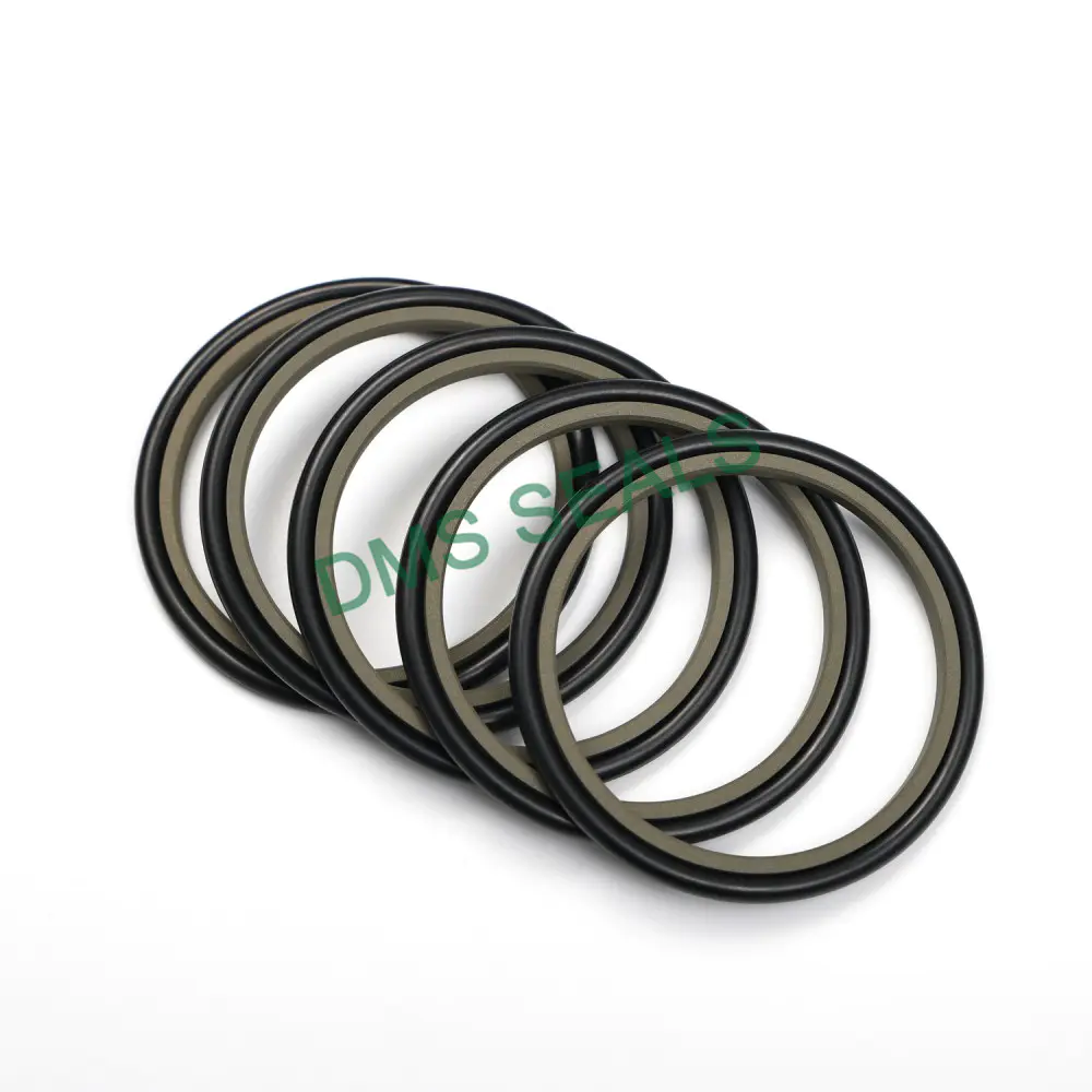Top Quality Carbon parts set shaft hydraulic glyd ring GSI rod seal Wholesale-DMS Seals