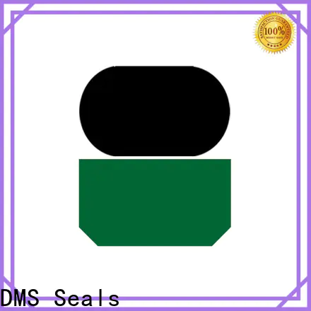 DMS Seals hydraulic packing and seals factory for sale