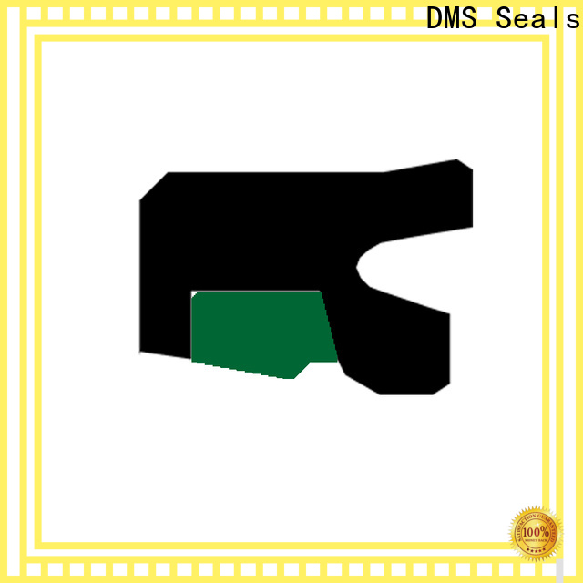 DMS Seals packing rod seals for pressure work and sliding high speed occasions