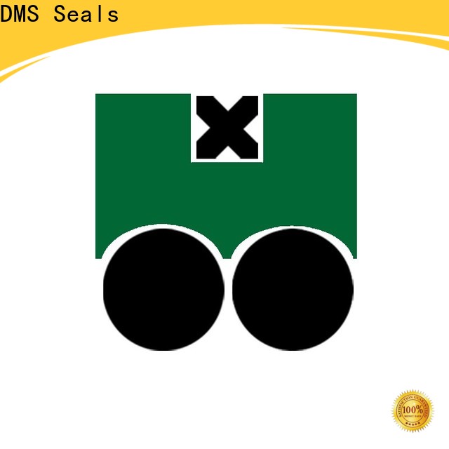 hydraulic piston seal installation for pneumatic equipment DMS Seals