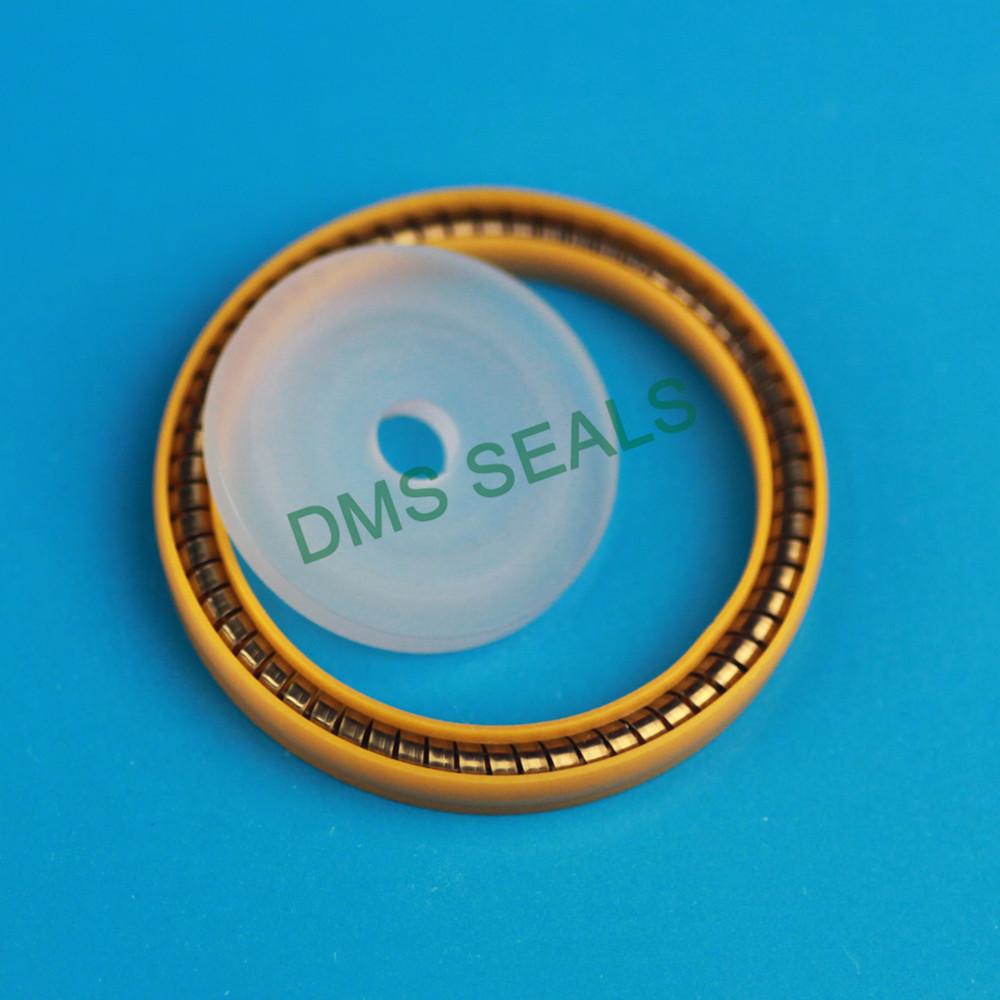 DMS Seals flex seal manufacturer factory-4