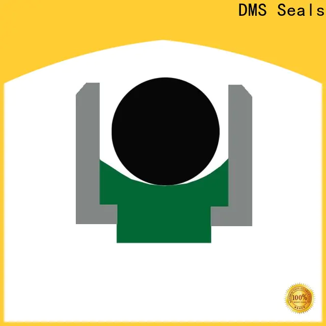 DMS Seals best hydraulic seal kit manufacturers supply for pressure work and sliding high speed occasions