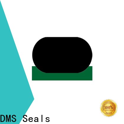 DMS Seals DMS Seals seal pneumatics inc wholesale for pressure work and sliding high speed occasions