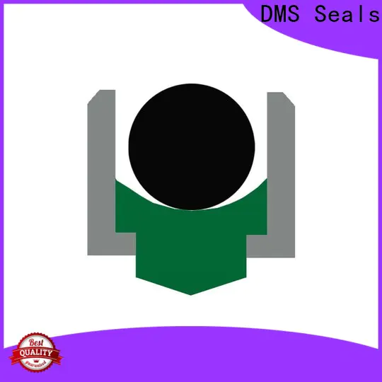 DMS Seals spareage hydraulic seals supply for automotive equipment