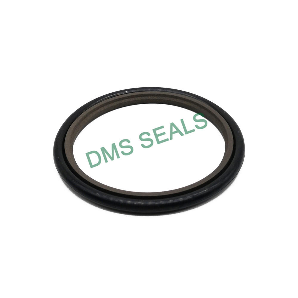 CNC Lathe Green PTFE Bronze Rod Seal for Hydrulice RSJ