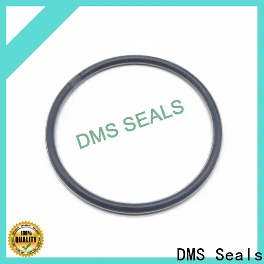 DMS Seals industrial o rings company in highly aggressive chemical processing