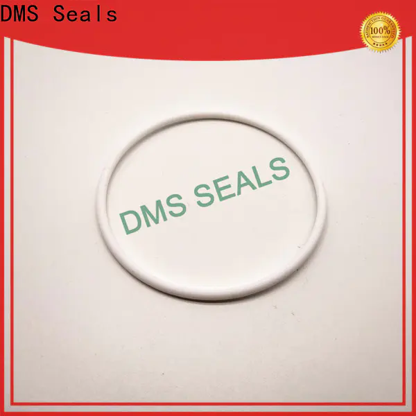 DMS Seals o ring seal kit for static sealing