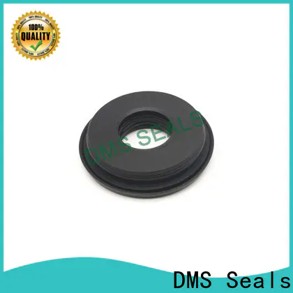 DMS Seals shaft seals for pumps for piston and hydraulic cylinder
