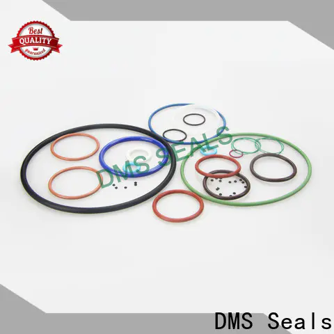 Top wiper seal design vendor in highly aggressive chemical processing