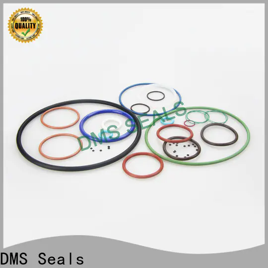 DMS Seals Best 20mm rubber o rings factory price in highly aggressive chemical processing