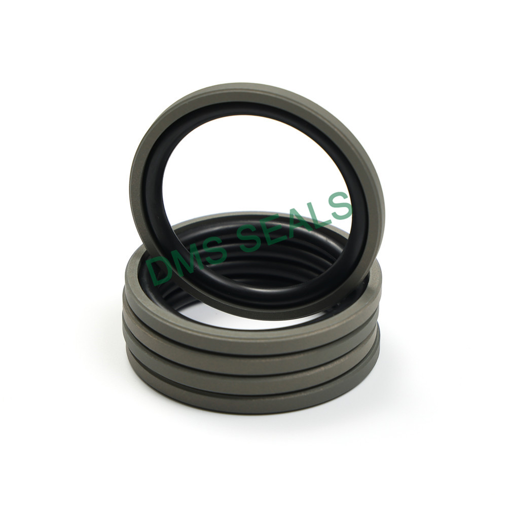 DMS Seals high efficiency hydraulic wiper seals for injection molding machines-3
