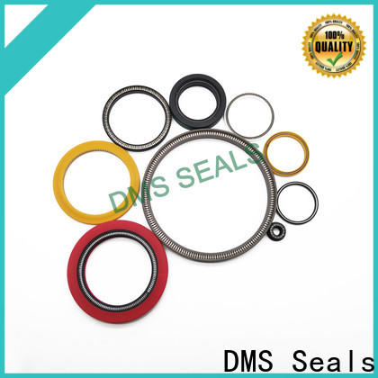 DMS Seals spring energized seals for choke lines