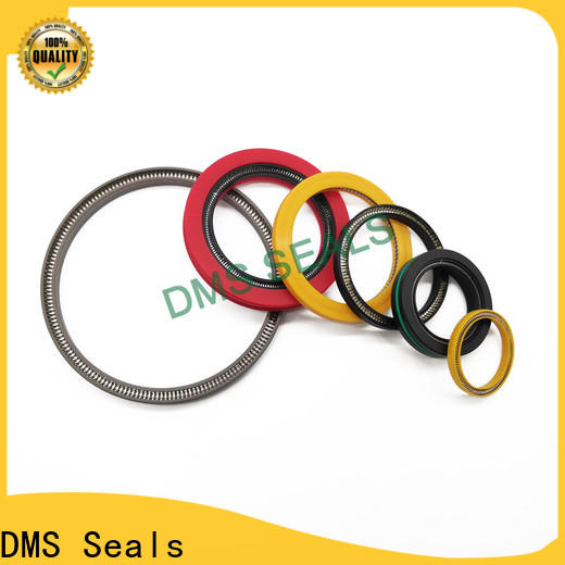 DMS Seals Buy parker spring energized seals supplier for fracturing