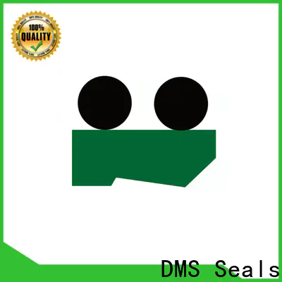 DMS Seals Bulk buy wiper ring for sale for injection molding machine