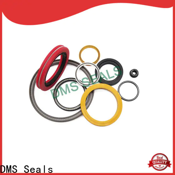 DMS Seals Custom spring energised seal wholesale for choke lines