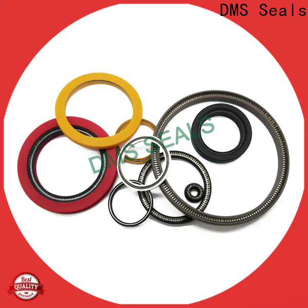 Buy spring energized seals factory price for valves