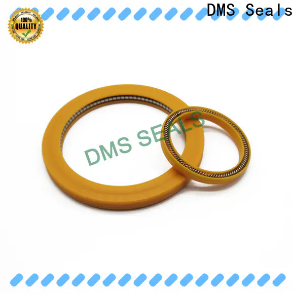 DMS Seals spring energized seals factory price for aviation