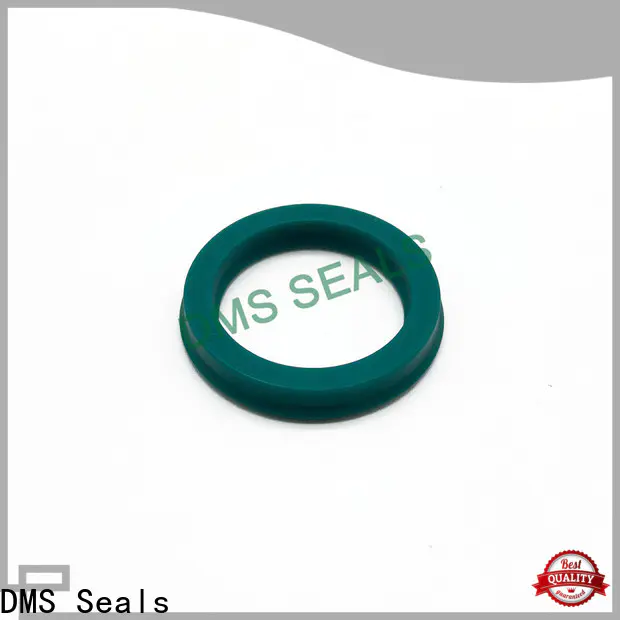 DMS Seals carbon seal manufacturer supply for larger piston clearance