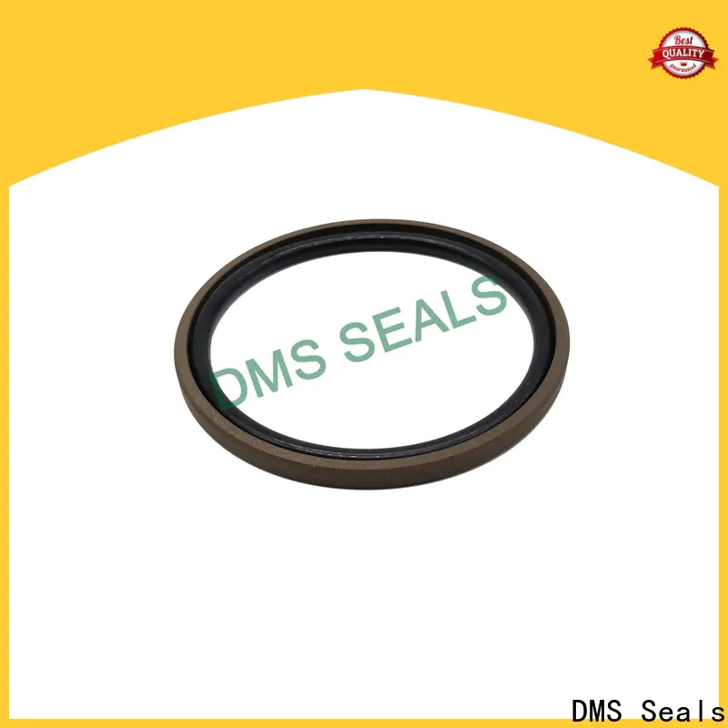 DMS Seals High-quality piston seal factory price for sale