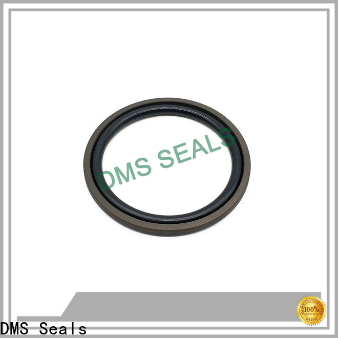 DMS Seals hydraulic cylinder packing replacement manufacturer for sale