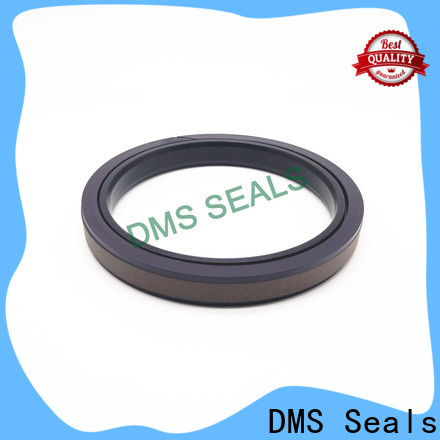 High-quality hydraulic cylinder piston seal leakage supply for light and medium hydraulic systems