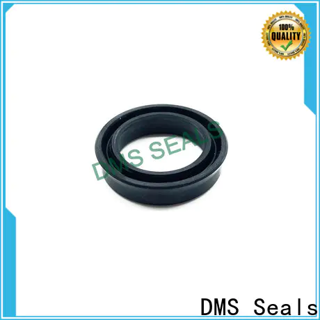 DMS Seals packing seal vs mechanical seal factory price for larger piston clearance