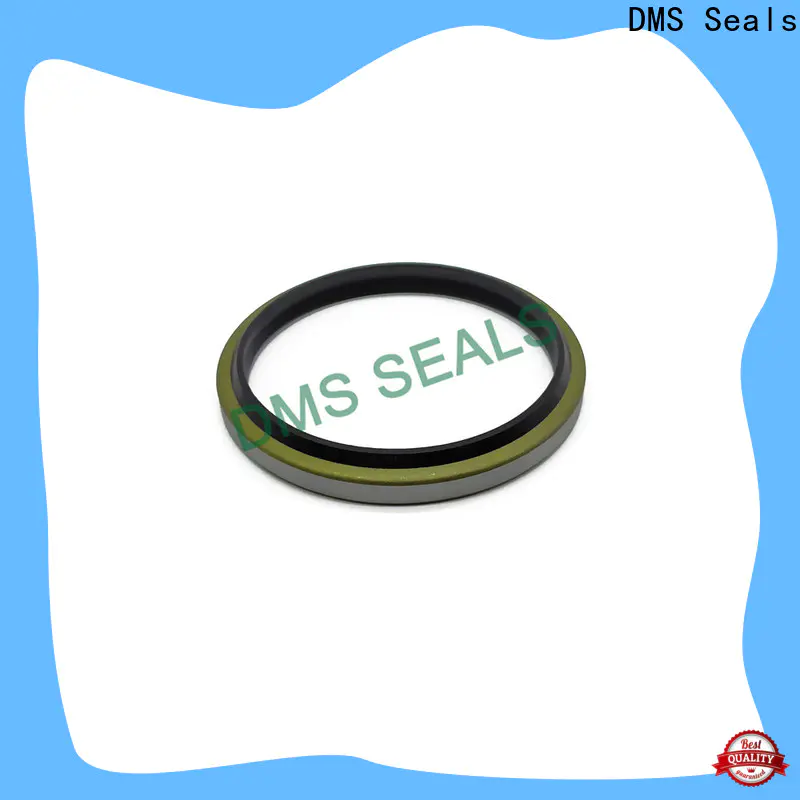 DMS Seals shaft seal manufacturers for sale for larger piston clearance