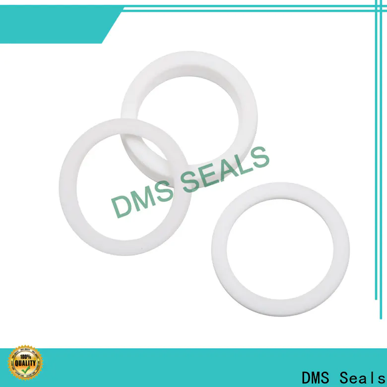 DMS Seals gasket supplier vendor for preventing the seal from being squeezed