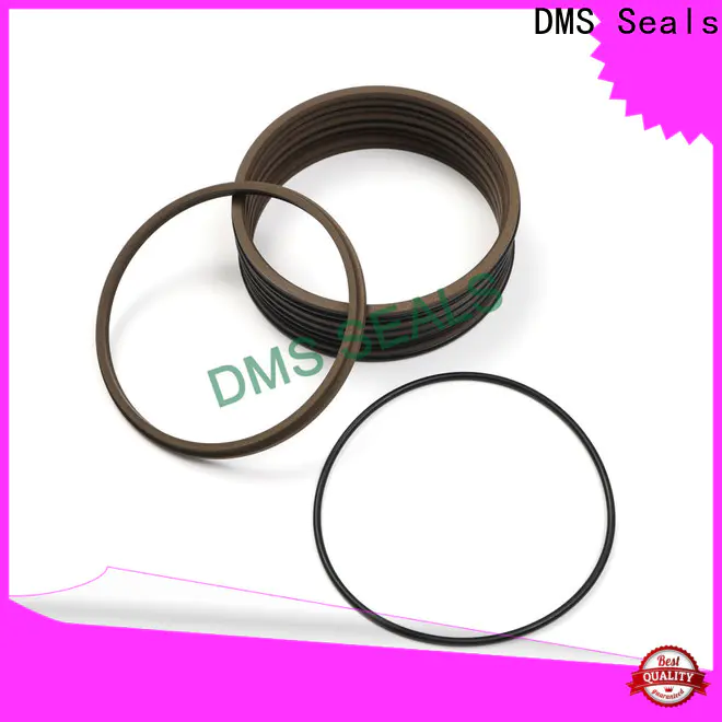 DMS Seals rod seals or piston seal for sale for forklifts