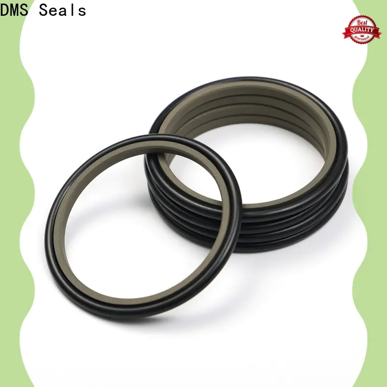 DMS Seals hydraulic cylinder seal kits manufacturer for sale