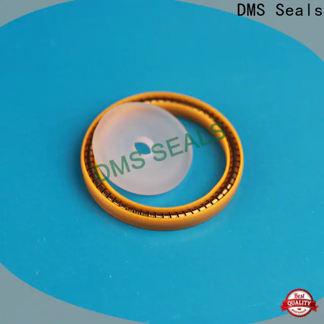 DMS Seals flex seal manufacturer factory