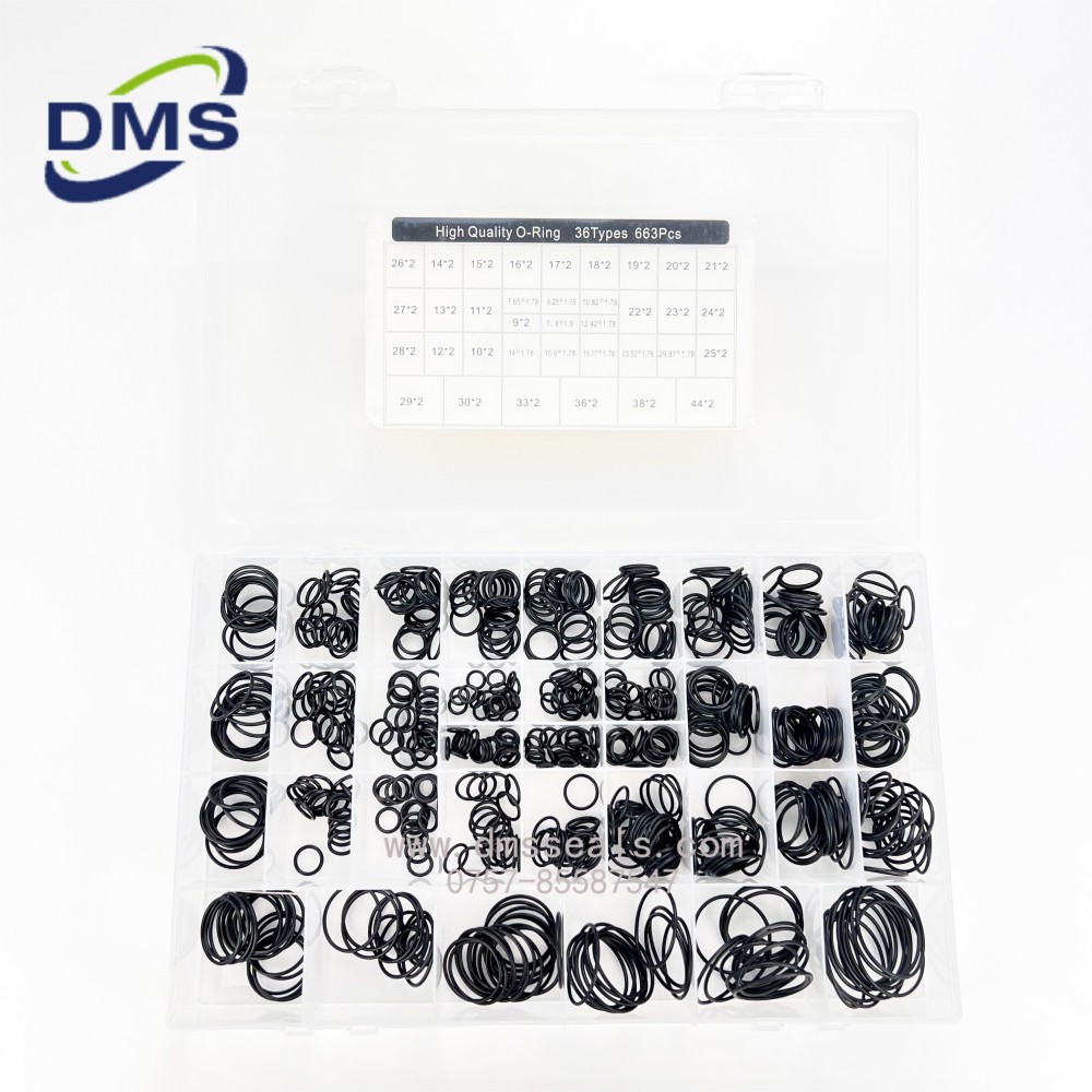 DMS Seals High-quality o ring mould factory For sealing-3