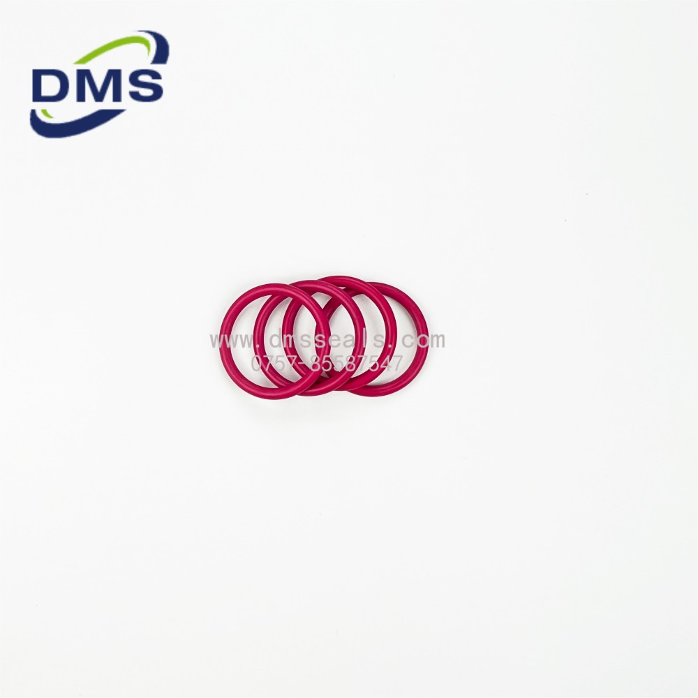 DMS Seals rubber o ring price price For seal-2