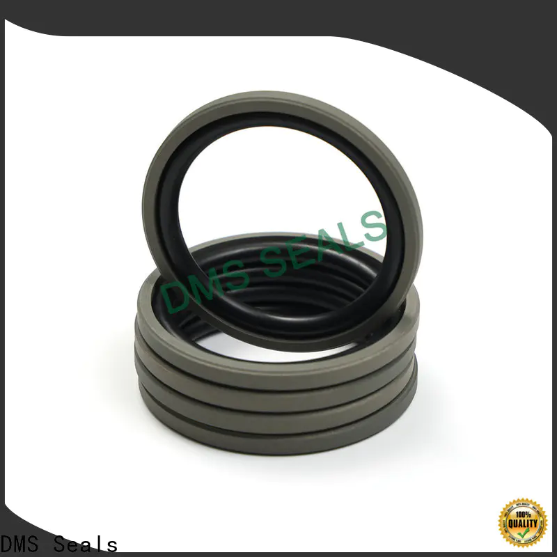 DMS Seals high efficiency hydraulic wiper seals for injection molding machines