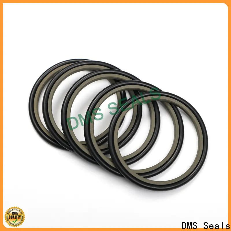 DMS Seals hydraulic rod seals online manufacturer for pressure work and sliding high speed occasions
